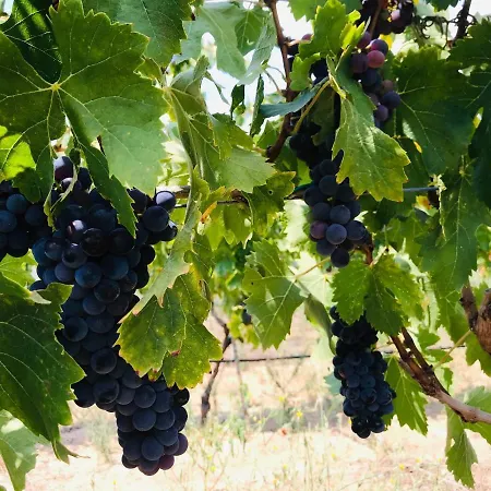 Casa Palmento Bella Feriehus