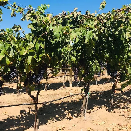 Feriehus Casa Palmento Bella Santa Maria Del Focallo