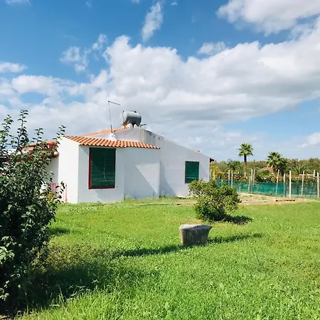 Feriehus Casa Palmento Bella Santa Maria Del Focallo